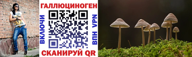 Галлюциногенные грибы мухоморы  где можно купить   Уссурийск 
