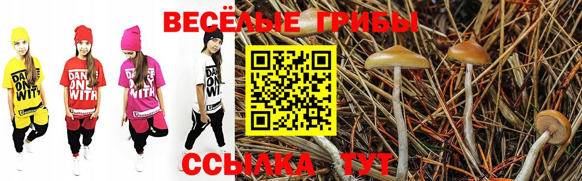 Галлюциногенные грибы Magic Shrooms Уссурийск